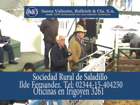 SAENZ VALIENTE BULLRICH remate gordo Y TOROS 2016 avi