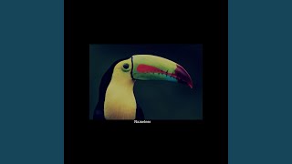 Nameless Music Video