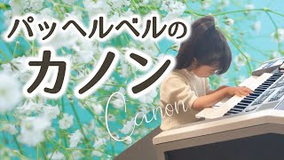 Download lagu Pachelbel's Canon/Electone performance mp3 Download lagu Pachelbel's Canon/Electone performance mp3