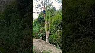 Download lagu beginilah santri koplak🤣#vidioshort mp3 Download lagu beginilah santri koplak🤣#vidioshort mp3