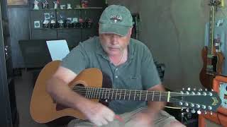 Video thumbnail for Guild D4 12 NT Twelve String Acoustic Guitar Demo by Progressive Guitar Studio