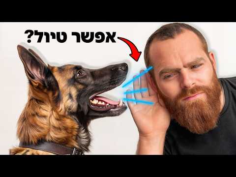 מאלף מסביר: איך לדבר עם כלבים?