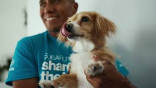 Subaru Adquiere un Subaru nuevo durante "Comparte el amor"