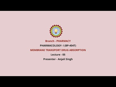 Membrane Transport Drugs Adsorption