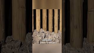 Como a cidade de Veneza foi construída? #curiosidades #fatoscuriosos #shorts