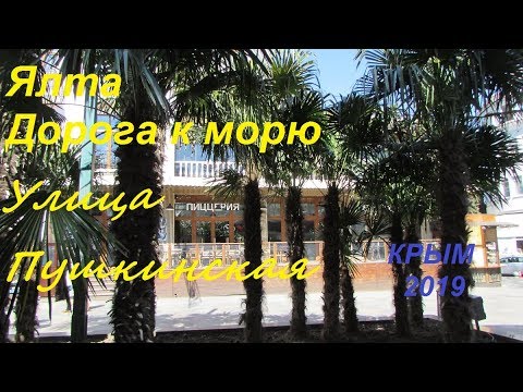 Ялта 2019, дорога к морю: улица Пушкинская 1 апреля. Пальмы, селфи, цветущая магнолия
