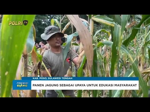 PANEN JAGUNG DI POSO, SATGAS MADAGO DUKUNG ASTA CITA PRESIDEN RI