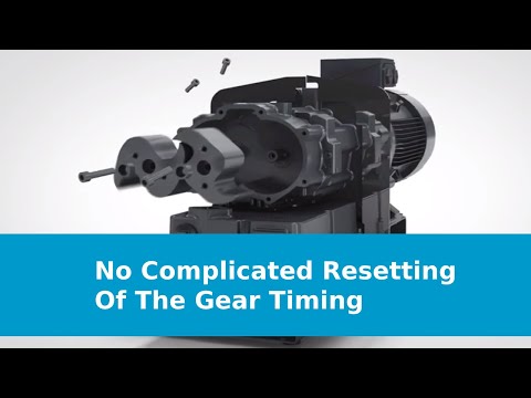 Dry Vacuum Pump