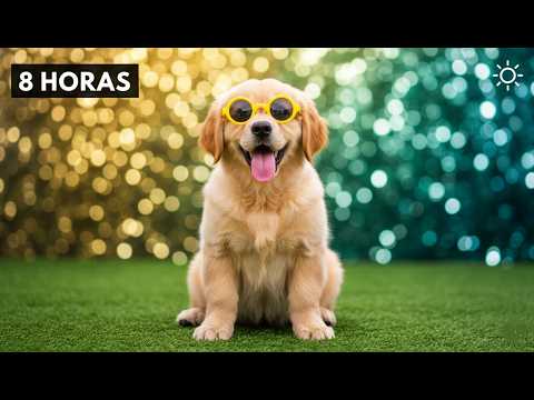 8 Horas de Música Alegre para Mascotas 🎉 Perros y Gatos Felices | 8 Horas de Energía Positiva
