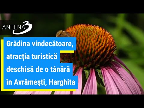 Grădina vindecătoare, atracţia turistică deschisă de o tânără în Avrămeşti, Harghita