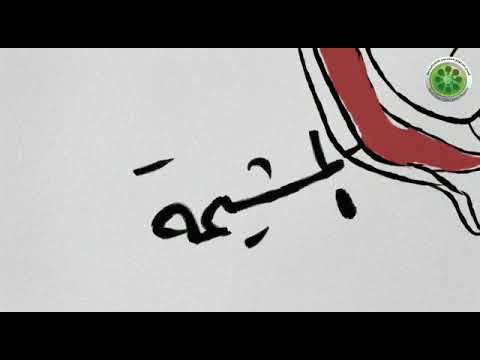 التبرع بدم الحبل السري