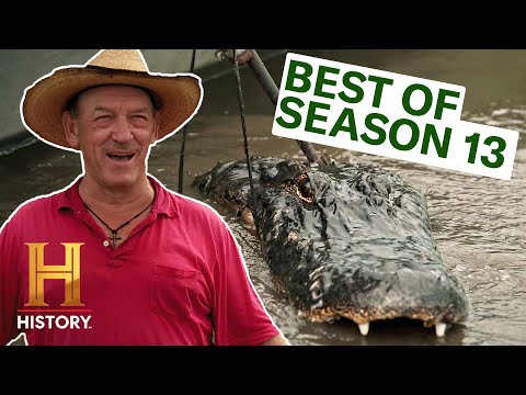 Swamp People: OUT OF CONTROL GATOR BRAWLS *TOP MOMENTS OF SEASON 13* | History