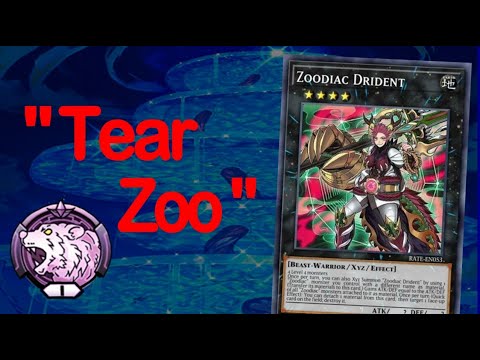 Trying Out "Zoodiac Tearlaments".