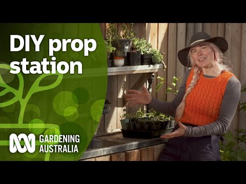 DIY Propagation Station | Gardening Hacks | Gardening Australia