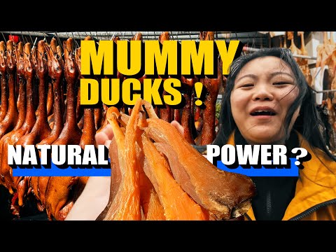 $40 Natural Power & Mummy Ducks: Inside China's Wildest Countryside Market!