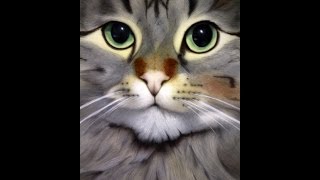 Download lagu Airbrushing Lolen the cat mp3