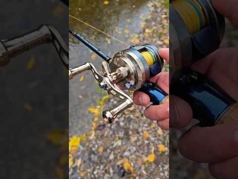 Seasir Round profile baitcasting reel #calcutta #conquest #seasir #sabre #baitcaster #casting