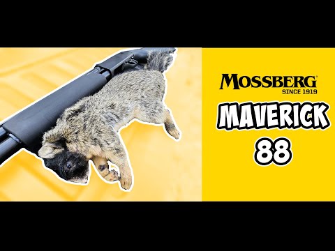 Mossberg Maverick 88 All Purpose | Pump 20 GAUGE