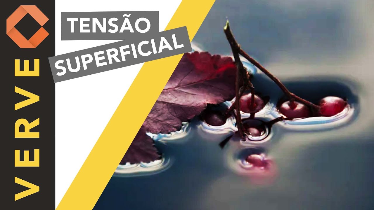 Tensão superficial e ação capilar; dois efeitos espetaculares sobre os fluidos.