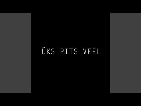 Üks Pits Veel (feat. Denu$ion)