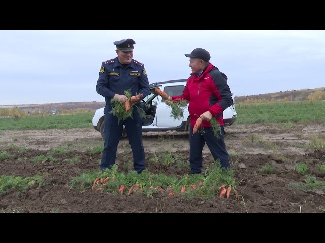 В колонии-поселении № 17 Мамадышского района заняты уборкой овощей