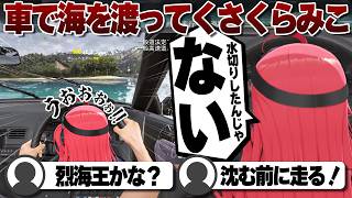 【コメ付き】水切りの要領で水の上を走るさくらみこ【ホロライブ/さくらみこ/切り抜き】 #さくらみこ