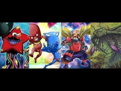 YgoPro Paleozoic Ojama Link Format 2017