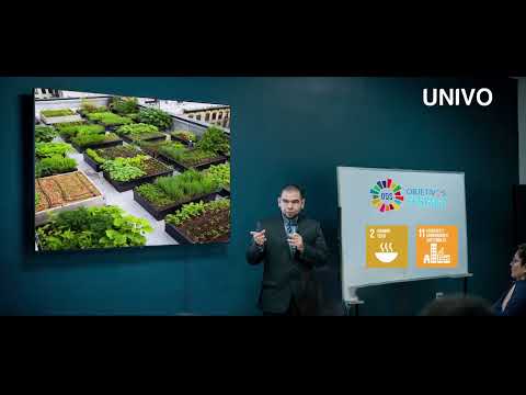 INVESTIGACIÓN:  Modelos de cultivos de alimentos a pequeña escala en contextos urbanos