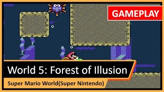 Capa de 5. Forest of Illusion