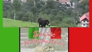 Dominic The Italian Christmas Donkey