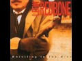 Leon Redbone - Crazy Over Dixie