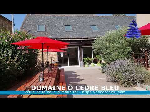 La cours intérieure du domaine Ô Cèdre Bleu, 