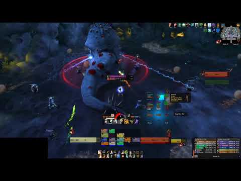 Nethrim - Mal'ganis: Heroic G'huun (Disc Priest Pov)