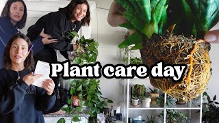 Let’s do plant chores and maintenance | repot, propagate & bedroom plants
