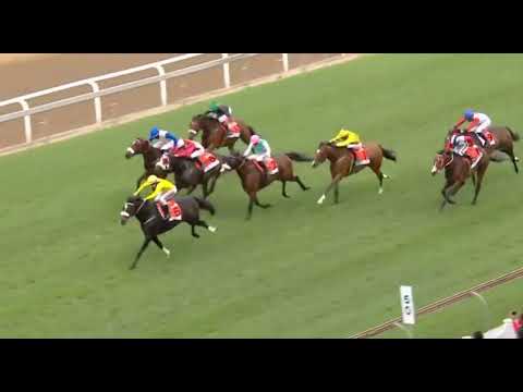 DO IT AGAIN - 2022 World Sports Betting 1900