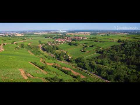 The vineyard of Bourgogne seen from the sky – Côte et Hautes Côtes de Beaune