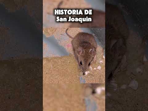 joaquinianos  #viajes #andresalba5 #sanjoaquín #beni