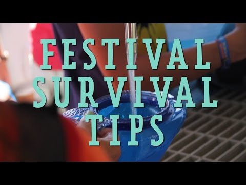 Lollapalooza Survival Guide