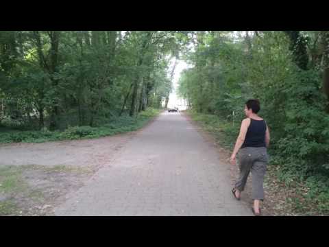 Raser in Stolzenhagen! Polizei machtlos...