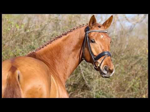 Wallach von Londontime