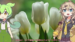 古代ローマ最強の三人組！第1回三頭政治の陰謀と共和政の崩壊
