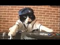 DJGatito Raekwon Ghostface Killah We Ain T Came To Lose