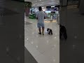 SM Dasmarinas Cavite Puppy Q Gala 21 March 2025
