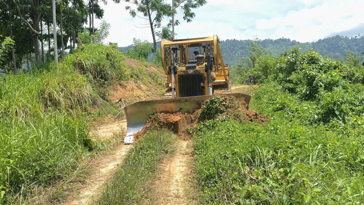 Old Road Service Bulldozer D6R XL Works to Repair Plantation Roads