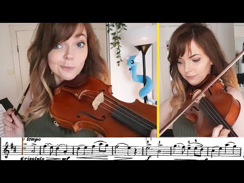 Watch me practice - Student Concerto No. 5 Seitz