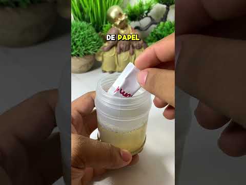 Si quieres echar a pelear a dos personas, haz esto ￼