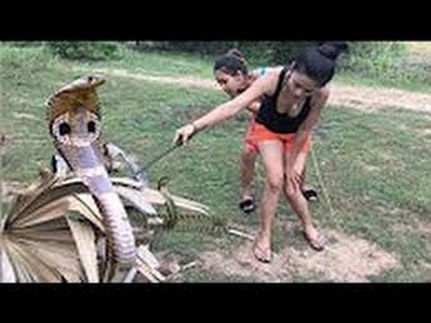Wow! Children Catch A Big Snake With Bare Hand - How To Catch Snake In Cambodia (3)