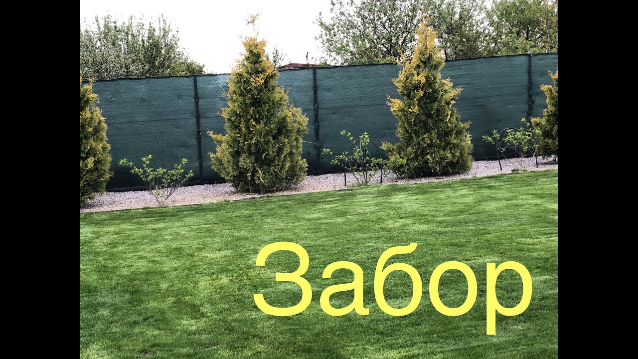 Красивый забор из сетки рабицы своими руками