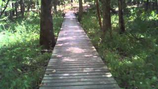 preview picture of video 'Chinquapin Trail, Huntsville State Park, Southbound'