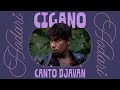 Hodari - Cigano (Canto Djavan)